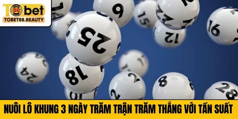 Nuôi lô khung 3 ngày trăm trận trăm thắng với tần suất